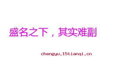 盛名之下,其实难副的故事_盛名之下,其实难副典故