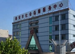 山东省泰安市社保局图片