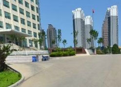 山东省日照市社保局图片