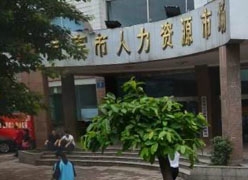 四川省宜宾市社保局图片
