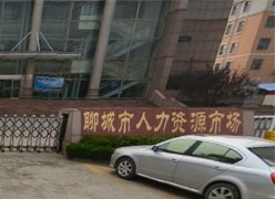 山东省聊城市养老保险机构