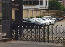 广东省佛山市社保局图片