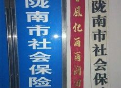 甘肃省陇南市社保局图片