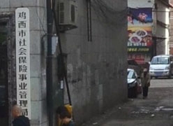 黑龙江鸡西市社保局图片