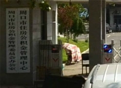 河南省周口市住房公积金查询