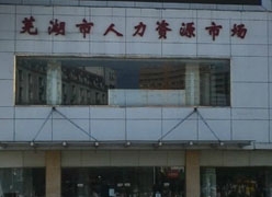 安徽省芜湖市社保局图片