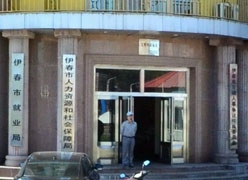 黑龙江伊春市社保局图片