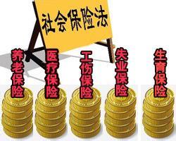 陇南市社会保险征缴相关法律责任