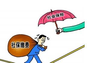 最新了解福州市社保费征缴条例规定细则