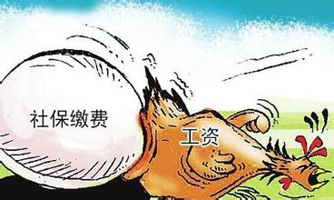 社保监督检查