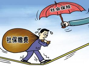 社会保险征缴条例细则规定