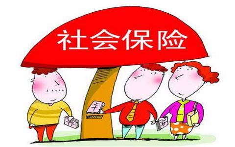 南平市社会保险征缴法律责任