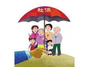 南平市社会保险费申报