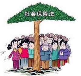 忻州市社会保险征缴条例暂行细则