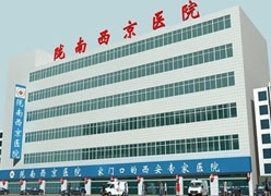 甘肃省陇南市工伤保险查询