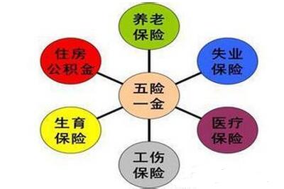 办理阳江市生育保险报销介绍