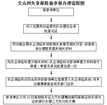 文山州失业保险新参保办理流程图