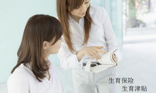 石家庄生育保险缴费比例