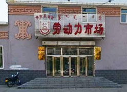 内蒙古呼伦贝尔市失业保险查询