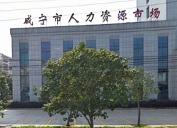 湖北省咸宁市失业保险查询