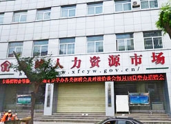 甘肃省庆阳市失业保险查询