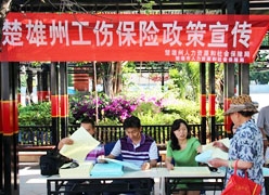 云南省楚雄州工伤保险查询