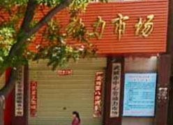 甘肃省武威市失业保险查询
