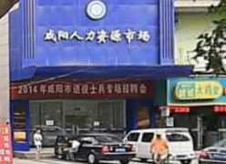 陕西省咸阳市失业保险查询