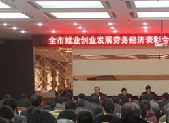 甘肃省定西市失业保险查询