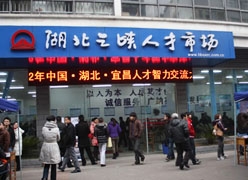 湖北省宜昌市失业保险查询