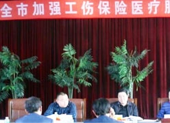 黑龙江省双鸭山市工伤保险查询