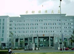 黑龙江省佳木斯市工伤保险查询