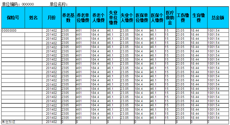 社保明细表格图样