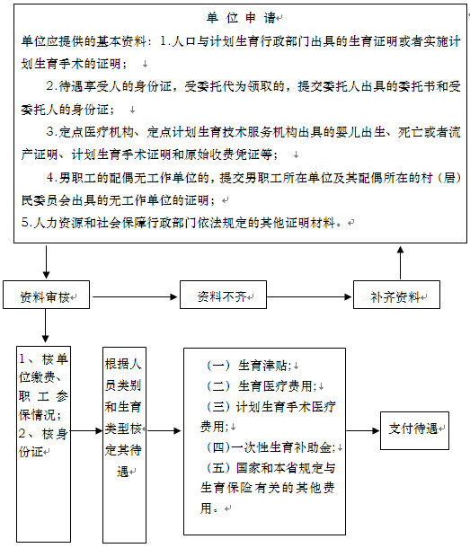 漯河市生育保险待遇核定和支付办理流程