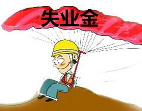 如何办理贺州市失业保险领取