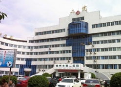 辽宁省锦州市生育保险查询
