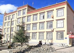 西藏林芝地区生育保险查询