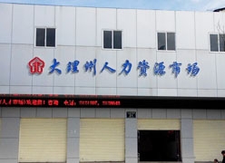 云南省大理州失业保险查询