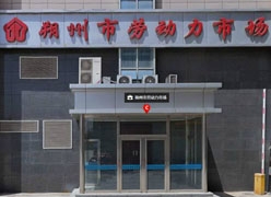 山西省朔州市失业保险查询