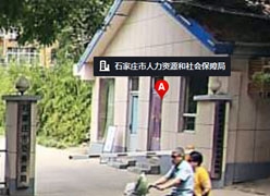 河北省石家庄市失业保险查询