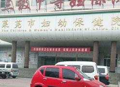 山东省莱芜市生育保险查询
