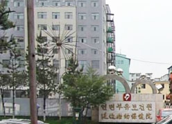 吉林省延边州生育保险查询