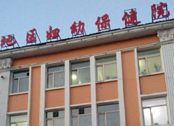 黑龙江省大兴安岭生育保险查询