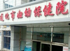 吉林省通化市生育保险查询