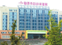 四川省自贡市生育保险查询