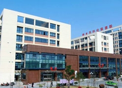 浙江省丽水市生育保险查询