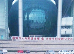 山东省淄博市失业保险查询