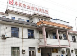 安徽省阜阳市生育保险查询