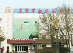 山东省东营市生育保险查询