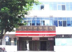 湖北省枝江市生育保险查询